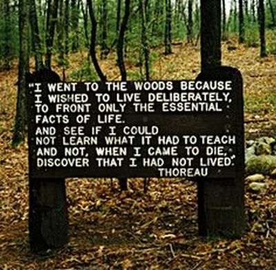 Photo of a quote by Thoreau printed on a wooden post in the middle of the woods.